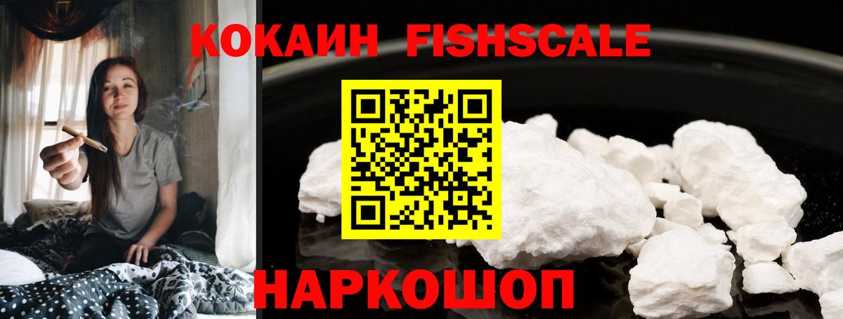 где купить наркоту  COCAIN  Саров  COCAIN FishScale  Кокаин FishScale 