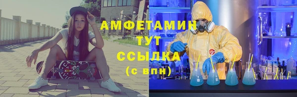 прущие грибы Новозыбков