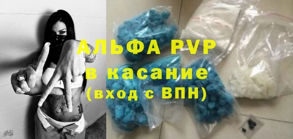 шишки Новодвинск