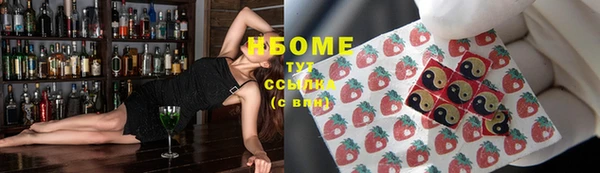 прущие грибы Новозыбков