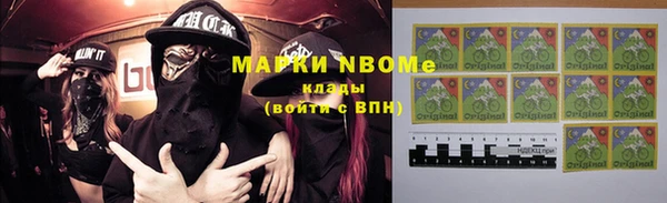 прущие грибы Новозыбков