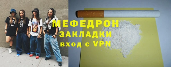 прущие грибы Новозыбков