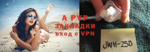 прущие грибы Новозыбков