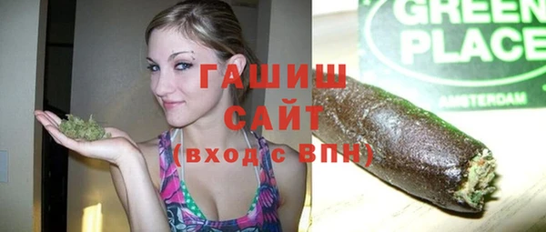 шишки Новодвинск
