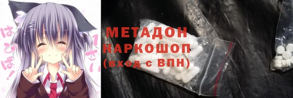 шишки Новодвинск