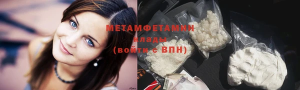 шишки Новодвинск