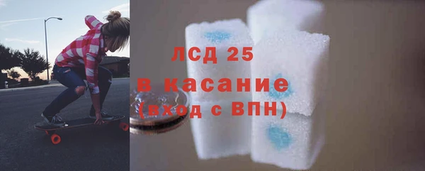 шишки Новодвинск