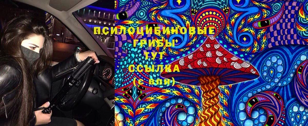 шишки Новодвинск