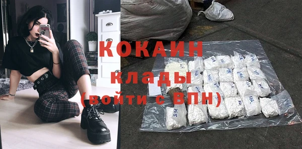 шишки Новодвинск