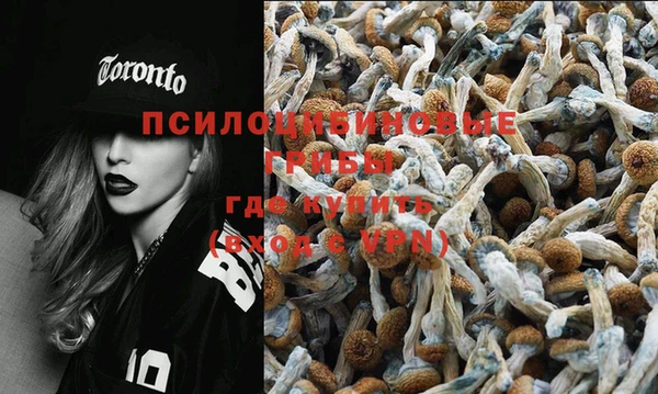шишки Новодвинск
