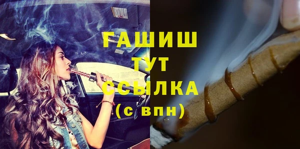 шишки Новодвинск