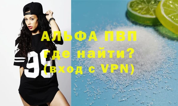 шишки Новодвинск