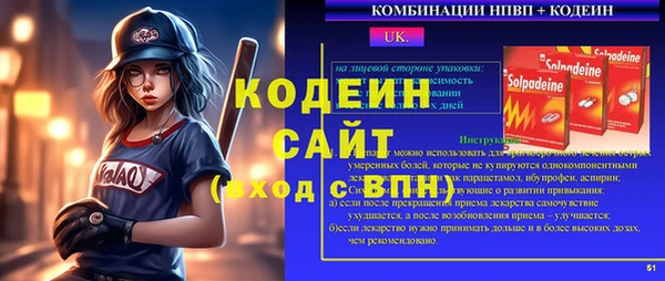 шишки Новодвинск