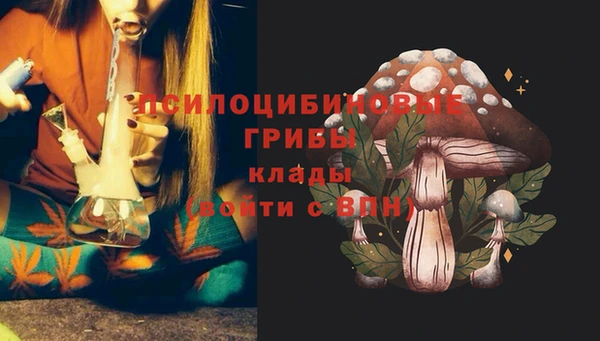 шишки Новодвинск