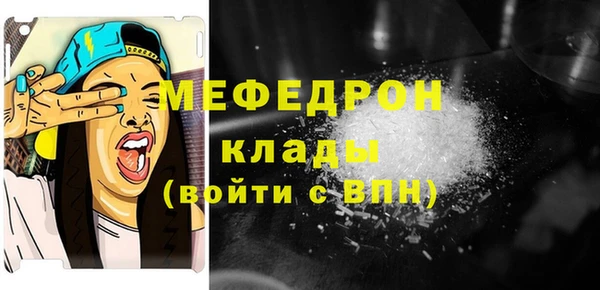 прущие грибы Новозыбков