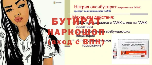 прущие грибы Новозыбков
