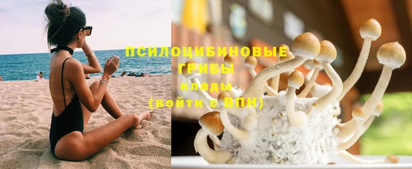гашиш Новокубанск