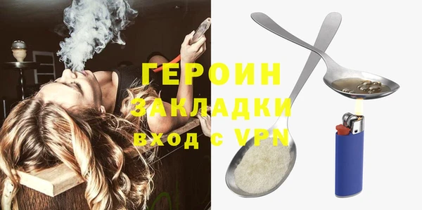 шишки Новодвинск