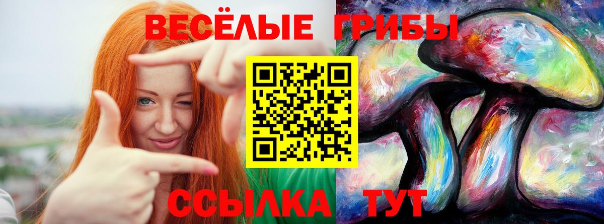 Саров  Cocaine  Канабис  Масло THC  Гашик  МЕФ  Вход с VPN  Cocaine 