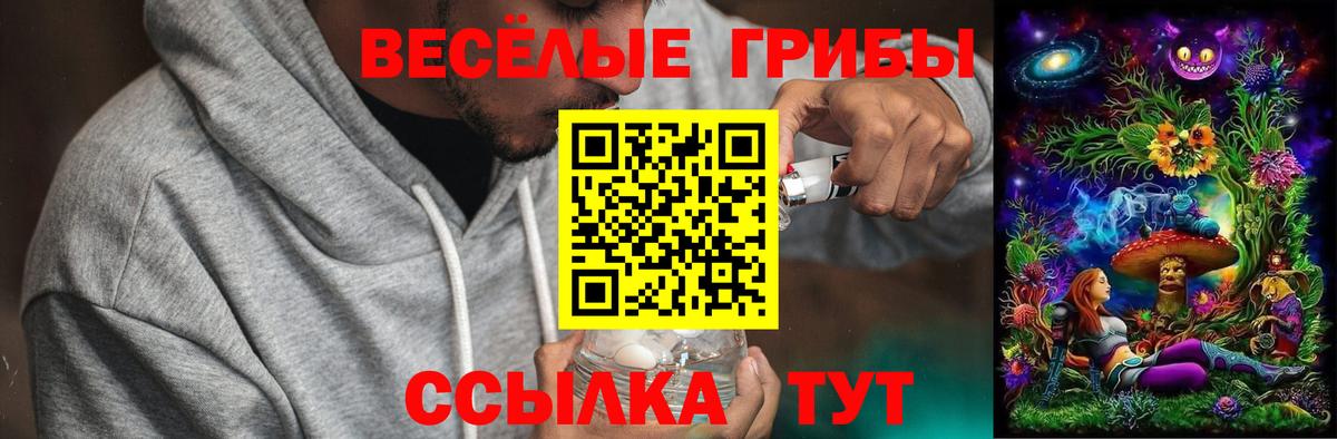 Псилоцибиновые грибы Magic Shrooms Саров